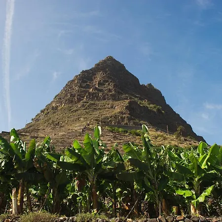 Delfines - Adults Only Agulo