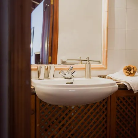 Delfines - Adults Only