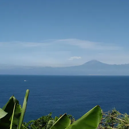 Delfines - Adults Only * Agulo