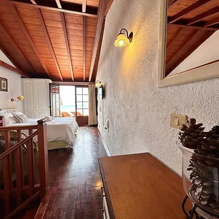 Delfines - Adults Only