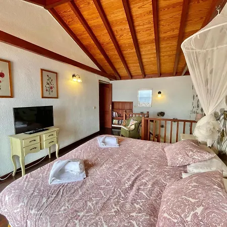 Delfines - Adults Only Vila *