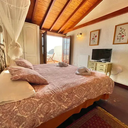 Delfines - Adults Only *