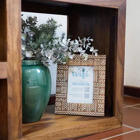 Vila Delfines - Adults Only