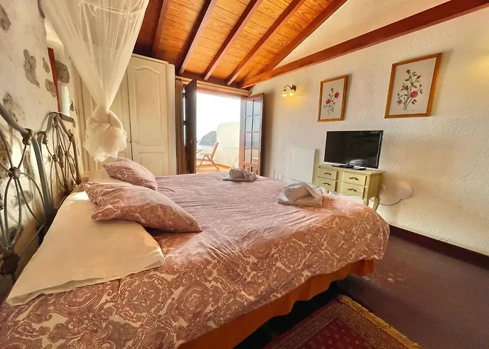 Delfines - Adults Only *