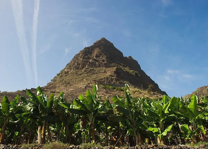 Delfines - Adults Only Agulo