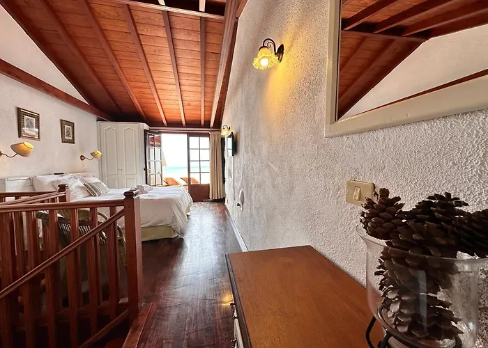 Delfines - Adults Only